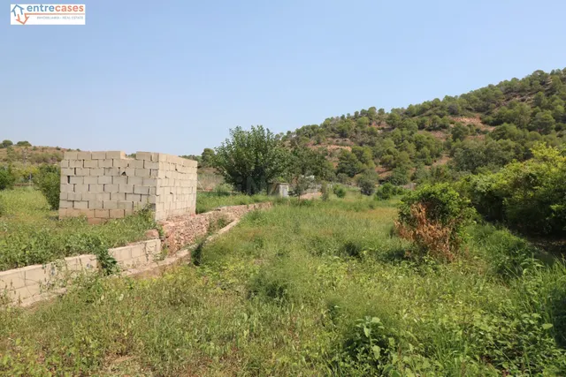 TERRENO DE 2 HANEGADAS ENTRE PETRES Y ALBALAT TARONGERS — 5