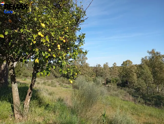 Finca Rústica a 10 Minutos de Cáceres: El Refugio Perfecto - foto 5