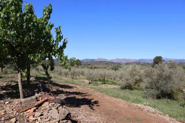MASIA EN VILAFAMES CON TERRENO — 31