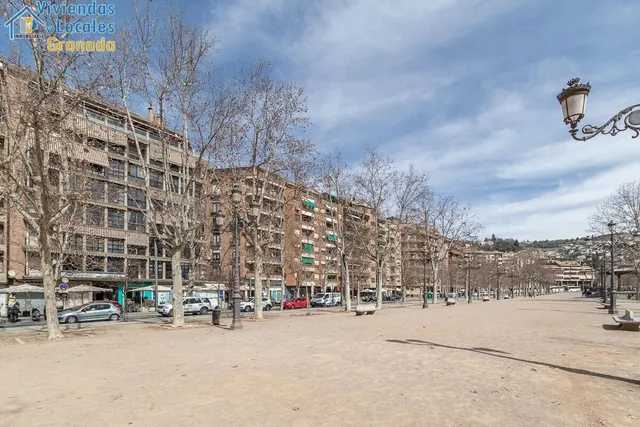 Piso con vistas a Sierra Nevada en Paseo del Salón. — 32