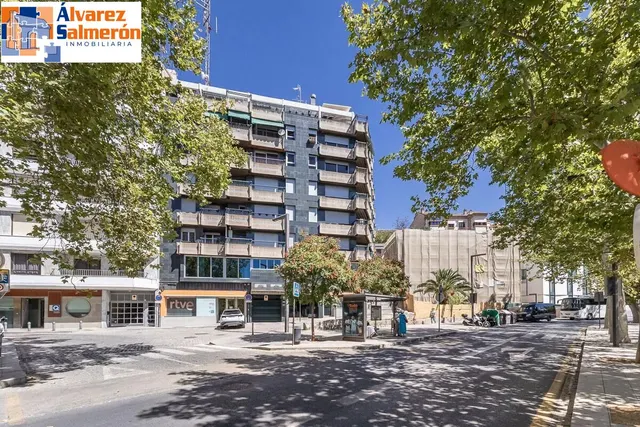 EXCLUSIVO INMUEBLE EN PLAZA DE CARRETAS, JUNTO AL EMBLEMÁTICO PASEO DEL SALÓN — 27
