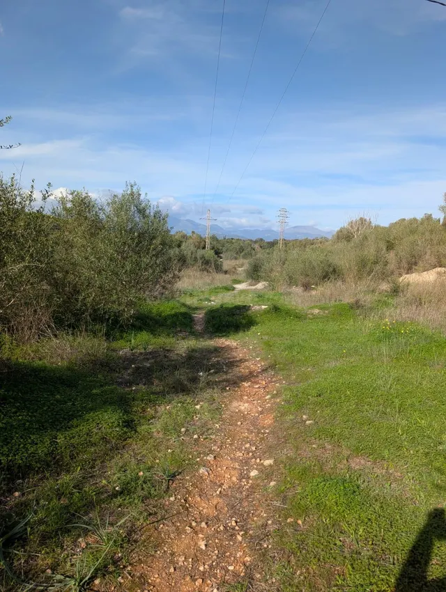 MAGNIFICA FINCA RUSTICA EN SINEU - foto 4