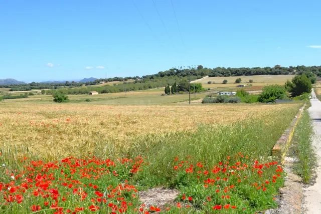 Finca rústica con posibilidad de vivienda con vistas a la Se - foto 3