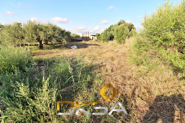 Terreno rústico con 242m2 en la calle Molí Nou de Vila-real - foto 5