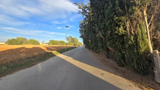 PARCELA -SEGREGADA CON REFUGIO EN ZONA PINAR DE LOS FRANCESES — 22