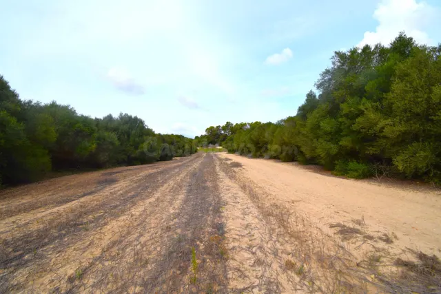 Finca con proyecto básico aprobado para una vivienda en Muro - foto 3