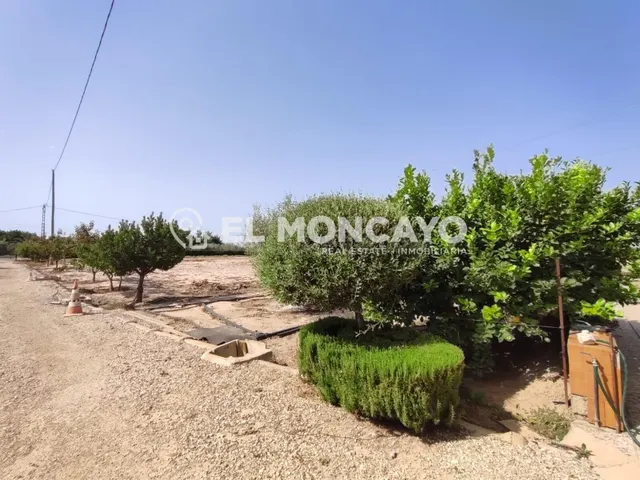 Fantástica casa de campo con parcela en la zona del campo de Elche, Alicante, Costa Blanca — 13