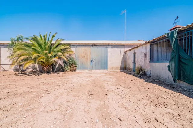 FINCA EN ATARFE CON DOS NAVES Y COBERTIZO — 23