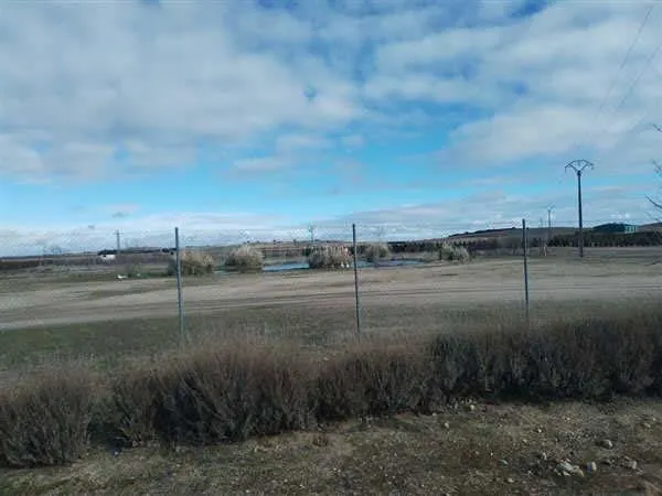 LOTE DE FINCAS RUSTICAS EN CODORNIZ, SEGOVIA - foto 3