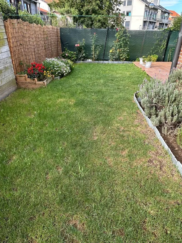 Se pone a la venta bajo con terraza y jardin  de dos habitaciones , garaje y piscina comunitaria — 22