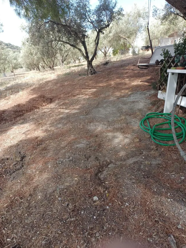 FINCA DE RECREO EN VENTA – PEDANÍA DE JEREZ - foto 5