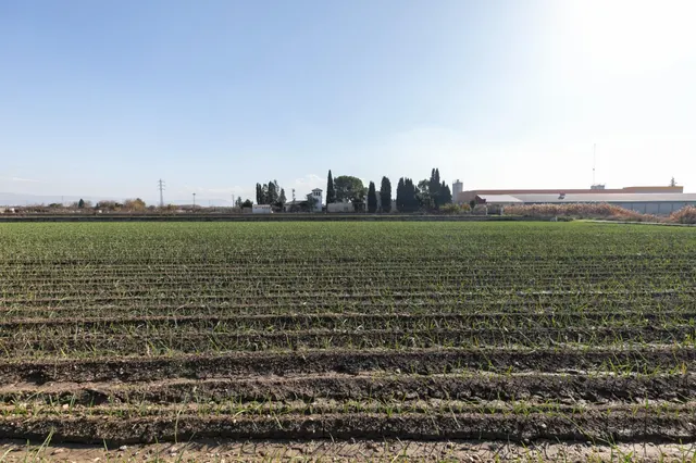 Se venden dos parcelas Rusticas en Atarfe. — 12