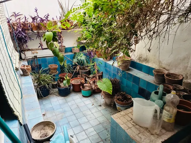 C. monumental casa en la magdalena — 6