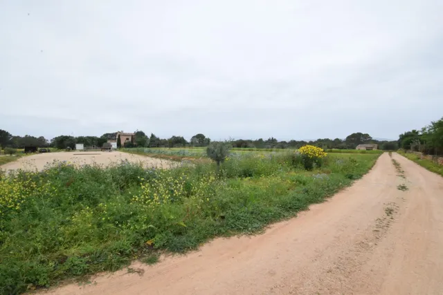 S'Aranjassa, parcela con LUZ y AGUA para vivienda unifamilia - foto 3