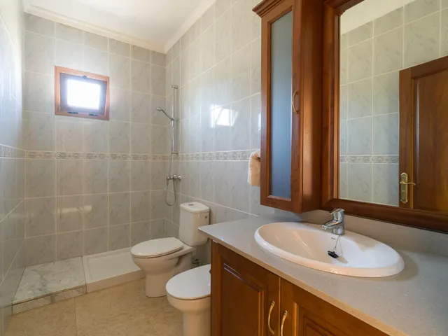 Finca rústica con amplia vivienda y azotea en Las Mejías – Ingenio, Gran Canaria — 44