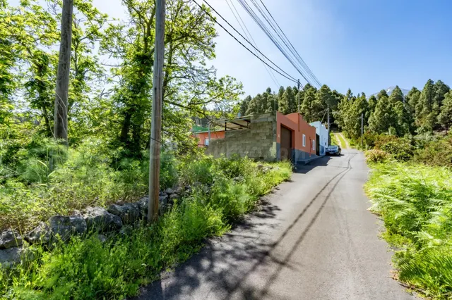 Finca con vivienda y viñedos en Icod de los Vinos — 3