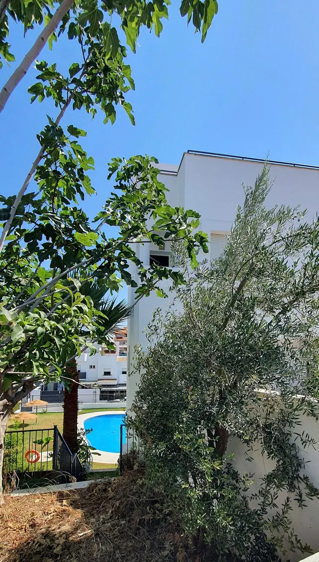 Adosado 4 habitaciones 177m² en venta - Centro - foto 4