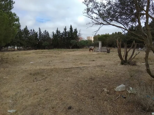 MAGNIFICA PARCELA EN PUERTO REAL EN CASINES — 3