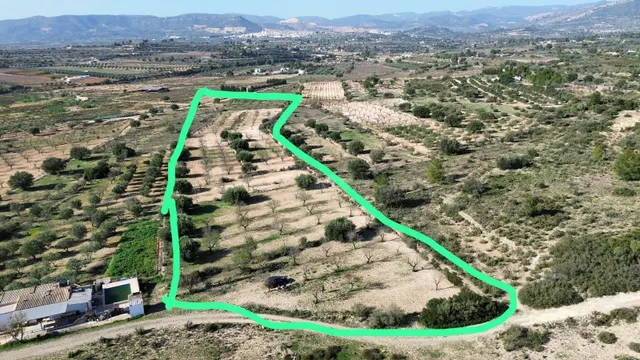 Terreno Casinos - foto 3