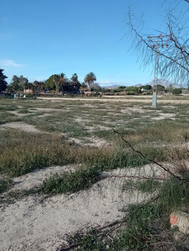 Parcela rústica ubicada a solo 12 km del centro de Alicante  - foto 4