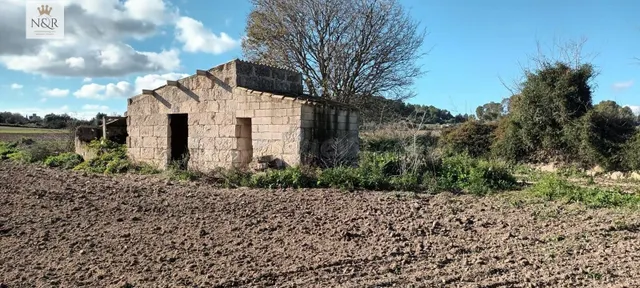 FINCA RÚSTICA CON CASETA Y AGUA - foto 5