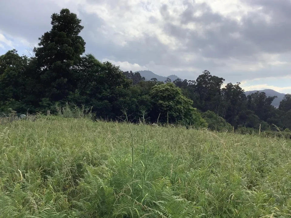 Terreno con proyecto de ejecución en camino Galeota, Beade