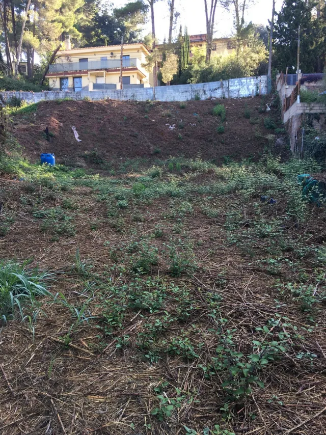 Terreno en venta en urb EL TAIO 812m2 P.V.P 60000€€ — 6