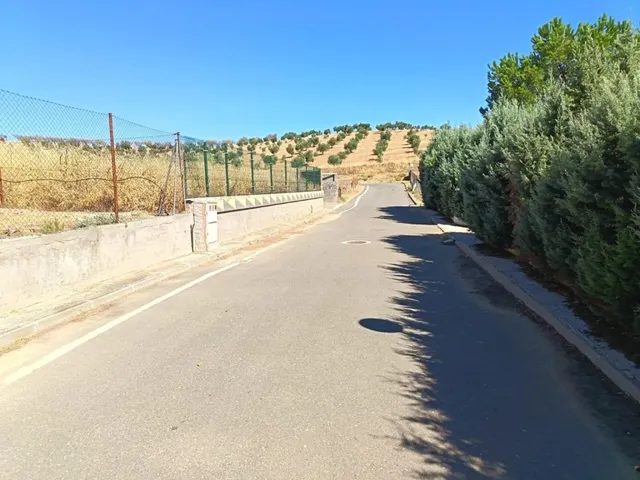 Oportunidad en Albarreal de Tajo – ¡Sin comisión al comprador! — 26