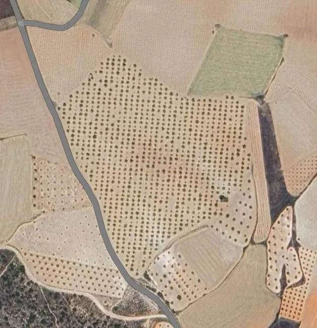 Finca Rústica Productiva con Pozo Legal y Placas Solares – N - foto 2