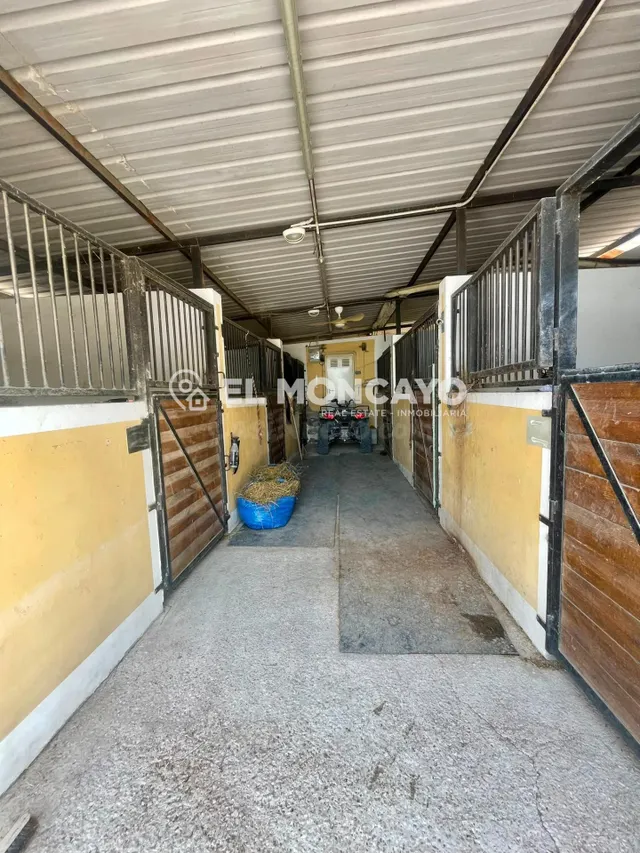 Fantástica finca rústica con piscina privada e instalaciones para caballos junto al Parc Natural del Fond en Dolores, Alicante — 32