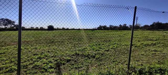 PARCELA RÚSTICA EN ALMENSILLA