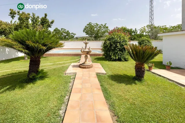 Finca en el término "Los LLanos " en Moraleda de Zafayona a 20 minutos de Granada Capital — 18