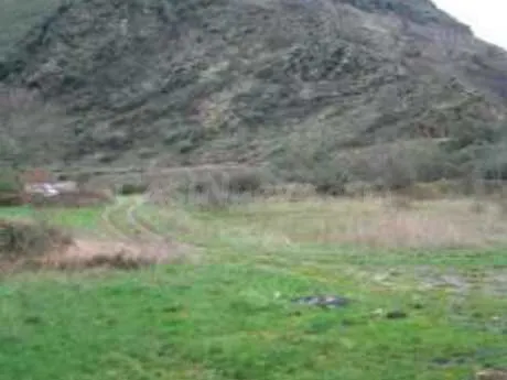 Terreno rural 10000m² en venta - Vega de espinareda - foto 3