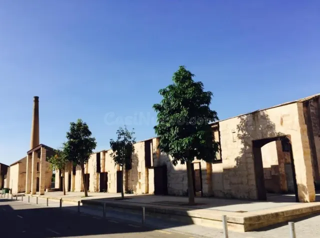 Solar edificable en la calle Ferriol — 2