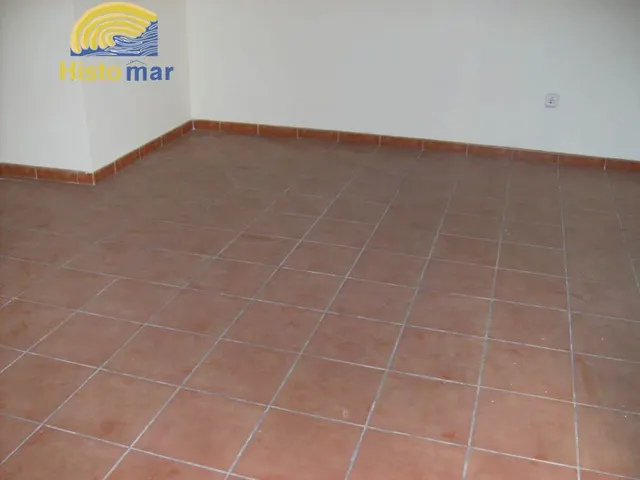 VIVIENDA-LOCAL COMERCIAL EN CAMI REAL — 2