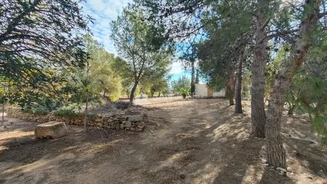 VENTA DE CHALET DE LUJO EN MONFORTE DEL CID — 44