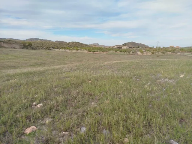 18000 MTS RUSTICO ENTRE MAJADA Y LA ATALAYA - foto 3