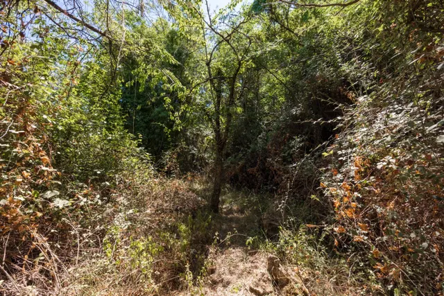 Terreno rural en Guejar Sierra zona Los Arroyos — 13