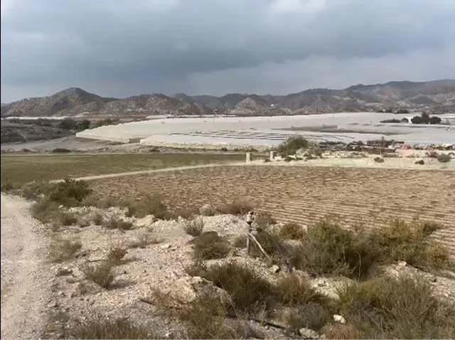 FINCA AGRICOLA EN AGUILAS - foto 3