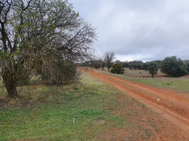 Gran oportunidad de Parcela con unas vistas Privilegiadas en los La Dehesa de los Hueros — 2