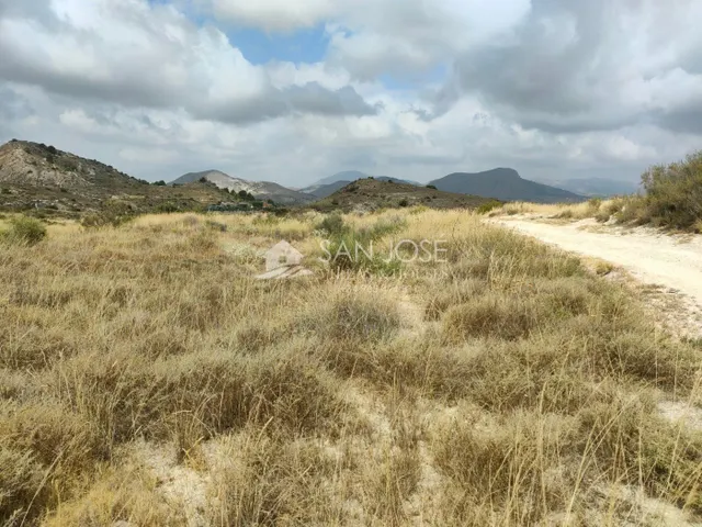 SE VENDE PARCELA GRANDE EN ASPE ZONA DE BORISA