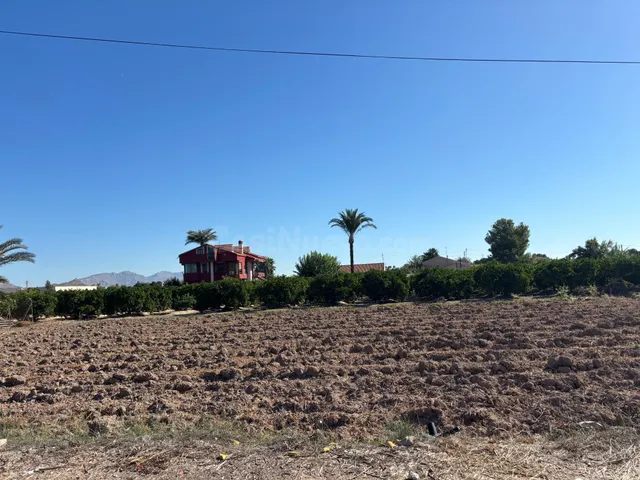 VENTA DE PARCELA RUSTICA EN CASILLAS — 2