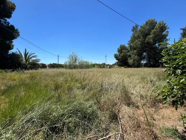 PARCELA URBANA EN ORIHUELA — 7