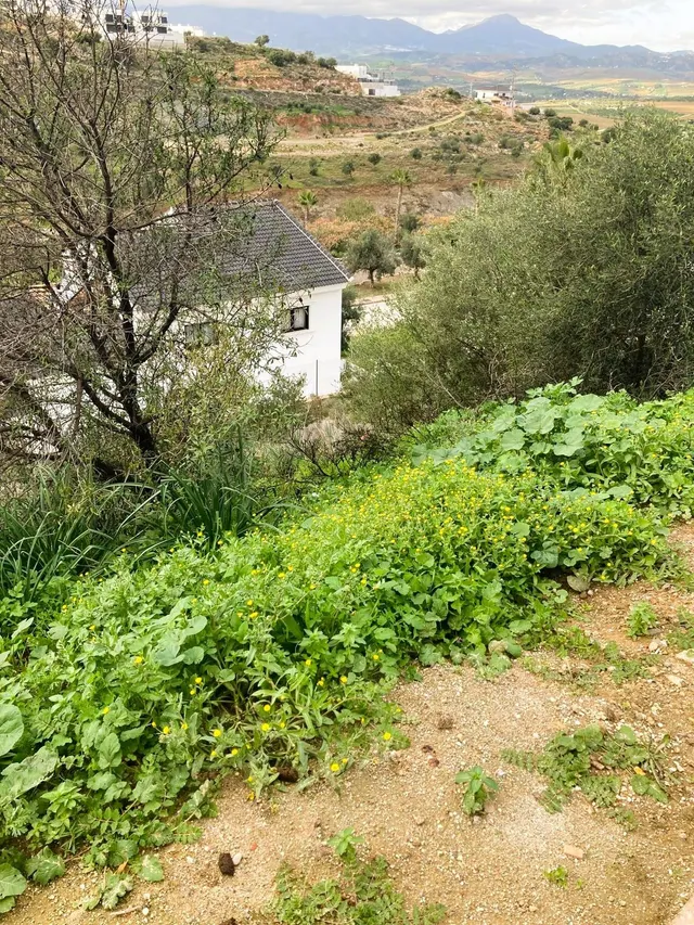 Parcela en venta - South of spain — 8