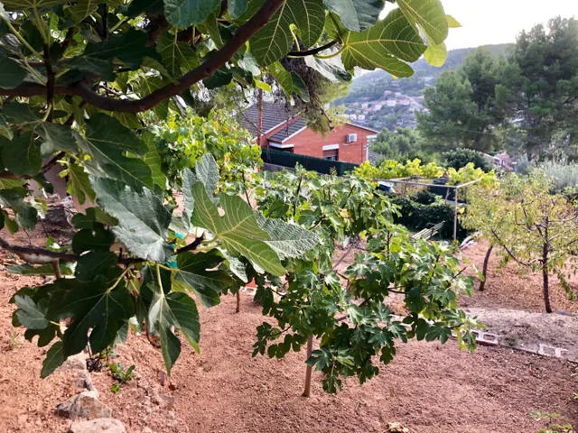 TERRENO URBANIZABLE EN VENTA EN CREU SUSSALBA — 14
