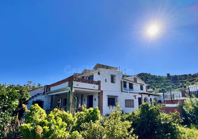 Negocio: Encantadora finca con casa de invitados independien - foto 4