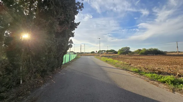 PARCELA -SEGREGADA CON REFUGIO EN ZONA PINAR DE LOS FRANCESES — 23