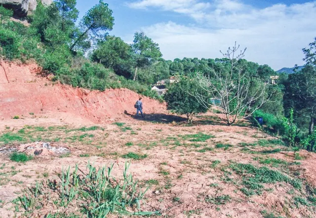 TERRENO URBANO EN RELLINARS DE 946 M2 - ZONA EL PLANET — 2