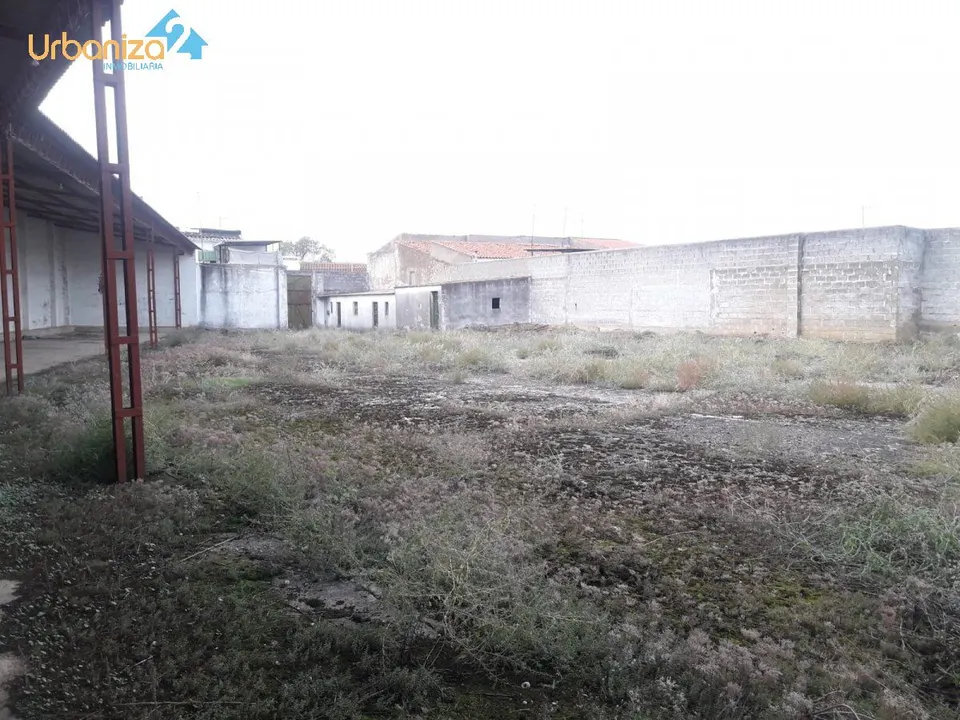 SOLAR URBANO EN OLIVENZA. situación INMEJORABLE!!