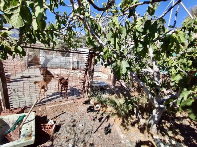 CASA DE PUEBLO CON VISTAS PANORAMICAS ( ABLA) — 34